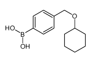 4-(Cyclohexyloxy)methylphenylboronic acid