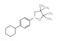 4-Cyclohexylphenylboronic acid, pinacol ester