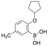 [2-(cyclopentyloxy)-5-methylphenyl]boronic acid