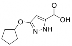 5-(cyclopentyloxy)-1H-pyrazole-3-carboxylic acid