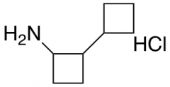 2-cyclobutylcyclobutan-1-amine hydrochloride