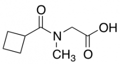 2-[(Cyclobutylcarbonyl)(methyl)amino]acetic Acid