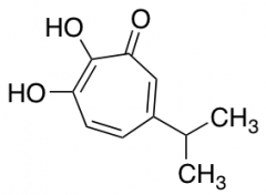 2,3-Dihydroxy-5-(1-methylethyl)-2,4,6-cycloheptatrien-1-one