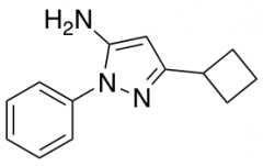 5-cyclobutyl-2-phenylpyrazol-3-amine