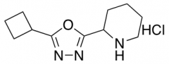 2-(5-Cyclobutyl-1,3,4-oxadiazol-2-yl)piperidine Hydrochloride