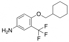 4-(Cyclohexylmethoxy)-3-(trifluoromethyl)aniline