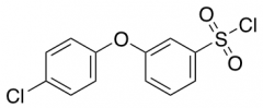 [3-(4-Chlorophenoxy)Phenyl]Sulfonyl Chloride