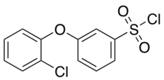 [3-(2-Chlorophenoxy)Phenyl]Sulfonyl Chloride