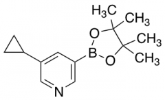 3-Cyclopropyl-5-(4,4,5,5-tetramethyl-1,3,2-dioxaborolan-2-yl)pyridine