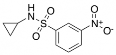 N-Cyclopropyl-3-Nitrobenzenesulfonamide