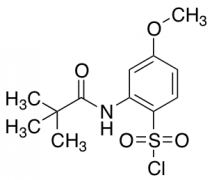 2-(2,2-dimethylpropanamido)-4-methoxybenzene-1-sulfonyl chloride