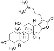 16-Deacetylfusidic Acid &gamma;-Lactone