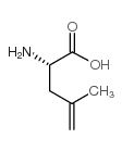 4,5-Dehydro-leucine