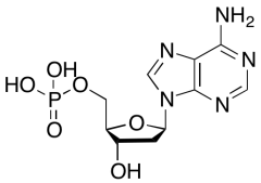 2&rsquo;-Deoxyadenosine 5&rsquo;Monophosphate