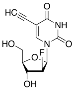 (2&rsquo;S)-2&rsquo;-Deoxy-2&rsquo;-fluoro-5-ethynyluridine