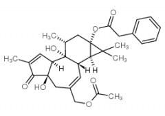 12-Deoxyphorbol 13-phenylacetate 20-acetate