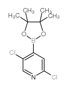 2,5-Dichloropyridine-4-boronic acid, pinacol ester