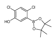 2,4-Dichloro-5-hydroxyphenylboronic acid, pinacol ester