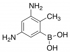 3,5-Diamino-2-methylphenylboronic Acid