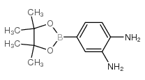 3,4-Diaminophenylboronic acid, pinacol ester
