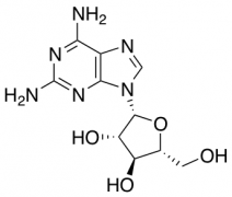 2,6-Diaminopurine Arabinoside