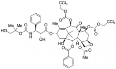 N-Des-t-boc-N-2-(1-hydroxy-2-methyl)propyloxycarbonxyl-7,10-O-bis{[(2,2,2-trichloroethyl)o