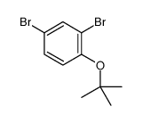 2,4-Dibromo-1-tert-butoxybenzene