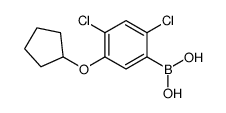 2,4-Dichloro-5-(cyclopentyloxy)phenylboronic acid