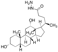 (3&alpha;,5&beta;,12&alpha;)-3,12-Dihydroxy-cholan-24-oic Acid Hydrazide