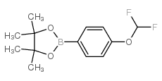 4-Difluoromethoxyphenylboronic acid pinacol ester