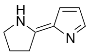4',5'-Dihydro-1H,3'H-2,2'-bipyrrole