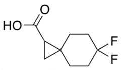 6,6-difluorospiro[2.5]octane-1-carboxylic Acid