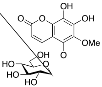 7,8-Dihydroxy-6-methoxycoumarin 5-&beta;-D-Glucoside