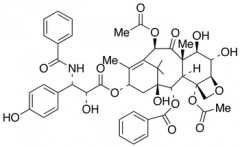 6&alpha;,3'-p-Dihydroxy Paclitaxel