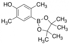 2,5-dimethyl-4-(4,4,5,5-tetramethyl-1,3,2-dioxaborolan-2-yl)phenol