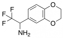 1-(2,3-Dihydro-1,4-benzodioxin-6-yl)-2,2,2-trifluoroethan-1-amine