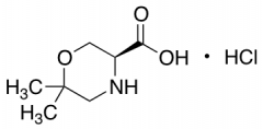 (S)-6,6-Dimethyl-morpholine-3-carboxylic Acid Hydrochloride