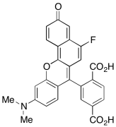 2-[10-(Dimethylamino)-5-fluoro-3-oxo-3H-benzo[c]xanthen-7-yl]-1,4-benzenedicarboxylic Acid