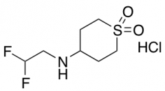 4-[(2,2-Difluoroethyl)amino]-1lambda6-thiane-1,1-dione Hydrochloride