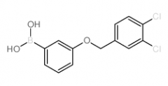 3-(3,4-Dichlorophenylmethoxy)phenylboronic acid