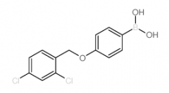 4-(2,4-Dichlorophenylmethoxy)phenylboronic acid