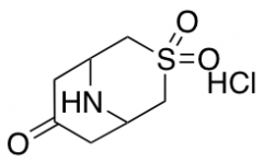 3-Thia-9-azabicyclo[3.3.1]nonan-7-one 3,3-dioxide hydrochloride