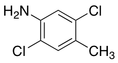 2,5-dichloro-4-methylaniline