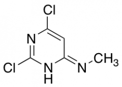 2,6-dichloro-N-methylpyrimidin-4-amine