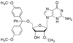 5'-O-DMT-2'-O-methylguanosine