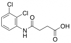4-[(2,3-Dichlorophenyl)amino]-4-oxobutanoic Acid