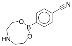 4-(1,3,6,2-Dioxazaborocan-2-yl)benzonitrile