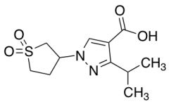 1-(1,1-Dioxo-1lambda6-thiolan-3-yl)-3-(propan-2-yl)-1H-pyrazole-4-carboxylic Acid