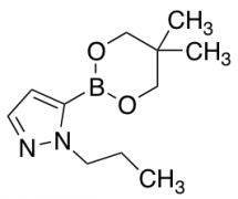 5-(5,5-dimethyl-1,3,2-dioxaborinan-2-yl)-1-propyl-1H-pyrazole