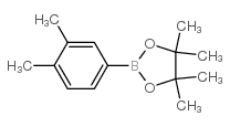 3,4-Dimethylphenylboronic acid pinacol ester